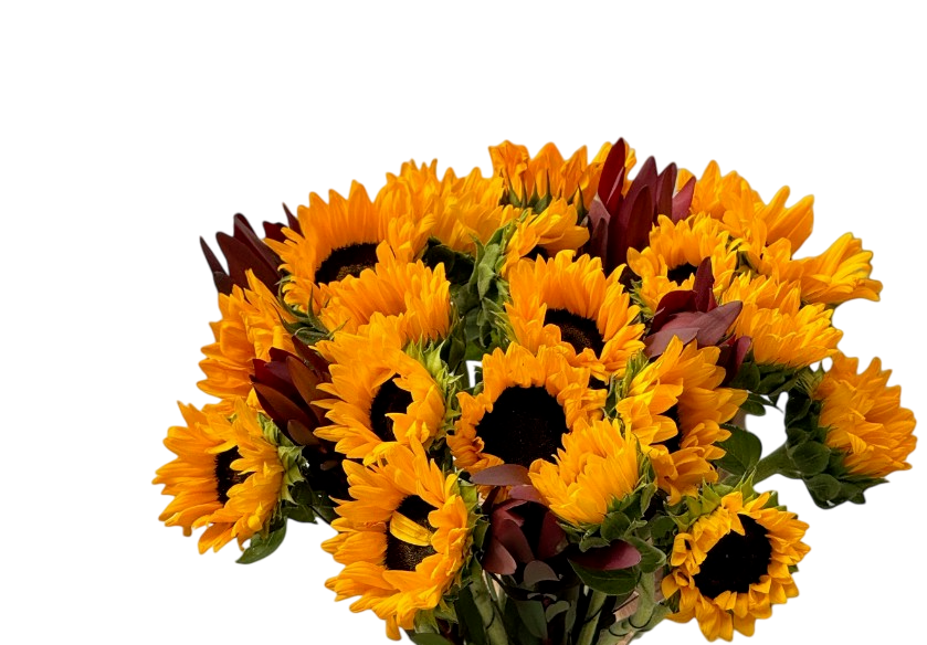 flower-image